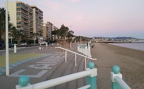Royal Palm